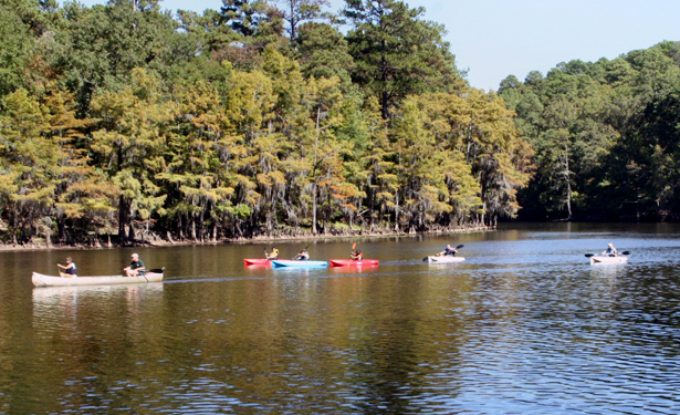 Summer Nature Club at Caddo Lake State Park – Jefferson, Texas